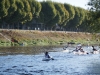 2016-10-02-compet-kayak-descente-chinon-5