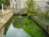 2014-11-09-sortie-sur-la-dive-24